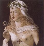 Portrait of a Woman BARTOLOMEO VENETO